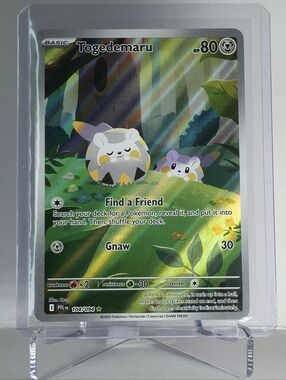 Pokémon TCG - Togedemaru - Phantasmal Flames - Illustration Rare - 104/094